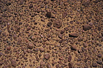 Detail of desert hardpan, Australia