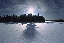 Frozen lake surrounded by coniferous forest on the year's shortest day, Minnesota