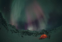 Illuminated tent beneath snow-covered mountains and Aurora borealis, Alaska