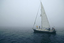 Bottlenose Whale (Hyperoodon ampullatus) researchers aboard the Balaena searching for whales in fog, North Atlantic