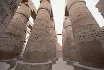 Hieroglyphs cover pillars of Karnak Temple, Valley of the Kings, Egypt