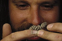 Herpetologist Bob Macy with a new lizard species, Iran