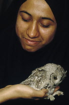 Aspiring biologist holds owl caught in mist net in the guest house, Kerman, Iran