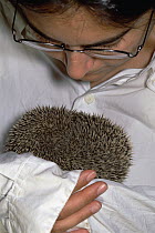 Biologist Sheda Morshed holding a hedgehog, Kerman, Iran