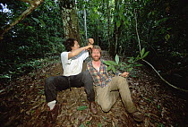 Doug Yu, an ecologist, cuts Wasps and Killer Bees from Mark Moffett's hair, Devil's Garden, Manu, Peru