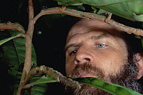 Passion Flower (Barteria sp) scientist Doyle Mckey cautiously approaches vine occupied by Ant (Tetraponera sp) colony, Cameroon