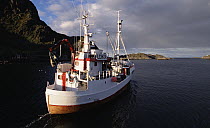 Norwegian whaling ship, Lofoten Island, Norway