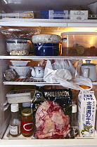 Dwarf Minke Whale (Balaenoptera acutorostrata) meat in refrigerator of a Japanese home, Japan