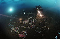 Research divers conduct long-term experiment underwater, Antarctica