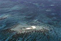 Motu or reef island, formed of accumulated sand and debris on the Belize Barrier Reef