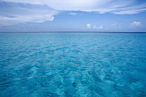 White sand and shallow water in inner lagoon, Grand Cayman, Caribbean
