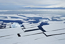 Iceberg among splitting sheets of ice, ice floes break off from ice edge in summer, McMurdo Sound, Antarctica