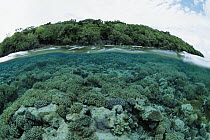 Coral reefs and tropical island famous dive sites, Palau