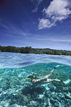 Coral reefs, snorkeler and tropical island, Palau