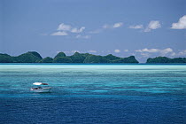 Blue corner is at the edge of a coral wall with strong current, Palau