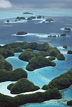 Palau's limestone islands have been cut into strange mushroom-shaped formations, Palau