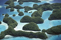 Palau's limestone islands have been cut into strange mushroom-shaped formations, aerial view, Palau