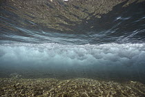 Waves as seen from underwater, Maui, Hawaii