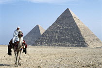 Camel and rider in front of the Pyramids at Giza, Cairo, Egypt
