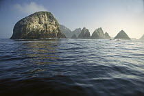 Farallon Islands, 20 miles from San Francisco, supports a large population of Great White Sharks, Farallon Islands, California