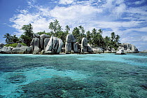 Granite Island and Coconut Palms, unique idyllic islands, Seychelles, Indian Ocean