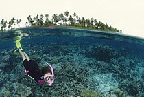 Diver snorkeling around tropical island, Solomon Islands