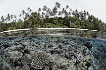 Above and below water view of coral reef and tropical island, Solomon Islands