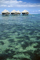 Le Meridien resort, Papeete, Tahiti