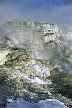 Mammoth Hot Springs, terracing created by mineral deposits laid down over centuries, Yellowstone National Park, Wyoming