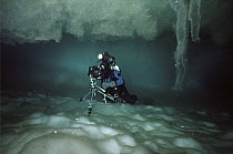 Norbert Wu photographing under the ice in Antarctica on shelf of an iceberg, brine channel stalactite and sea ice ceiling