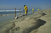 Oil spill clean up on beach, Huntington Beach, California