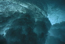 Breaking wave seen from underwater, Hawaii