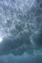 Breaking wave seen from underwater, San Diego, California