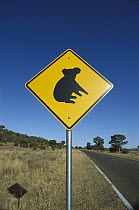 Koala (Phascolarctos cinereus) road sign, Queensland, Australia