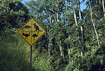 Kangaroo, Tiger Quoll, and Emu road sign in rainforest habitat, Queensland, Australia