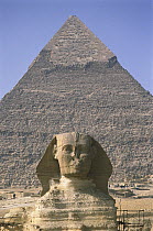 The Great Sphinx and the Pyramid of Kahfre, Giza, Cairo, Egypt