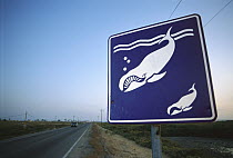 Whale watching sign, migrating Gray Whales draw many tourists each year, Magdalena Bay, Baja California, Mexico