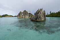Limestone islands that were coral reef habitat, Raja Ampat Islands, Indonesia