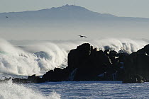 Large surf during winter storm near Monterey, California
