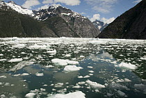 LeConte Glacier receding, showing evidence of global warming, LeConte Bay, Alaska