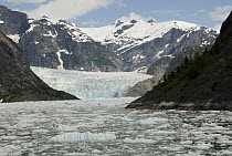 LeConte Glacier is receding showing evidence of global warming, LeConte Bay, Alaska