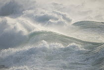 Waves breaking, North Shore, Oahu, Hawaii