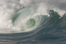 Wave breaking, North Shore, Oahu, Hawaii