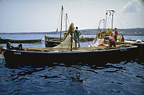 Atlantic Bluefin Tuna (Thunnus thynnus) mattanza, which is the annual harvesting of tuna in Sardinia, Sardinia, Italy