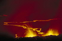 Volcanic eruption, lava flow and fountain from circumferential fissure, Volcan Chico, Sierra Negra, Isabella Island, Galapagos Islands, Ecuador