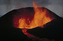 Volcanic eruption, spatter cone formation and lava fountain from radial fissure, February 1979, Cerro Azul east flank, Isabella Island, Galapagos Islands, Ecuador