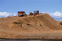 Chilean woodchip pile, enormous piles taken from native forests dockside awaiting shipment to Japan, Puerto Montt, Chile
