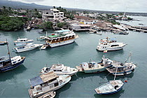 Ramshackle growth marks the boom town of Puerto Ayora, Santa Cruz Island, Galapagos Islands, Ecuador
