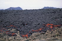 Advancing Aa lava flow slowly covering older weathered flow, February 1995, Fernandina Island, Galapagos Islands, Ecuador