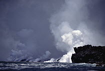 Lava flow entering the sea creates huge steam plumes, Cape Hammond, Fernandina Island, Galapagos Islands, Ecuador